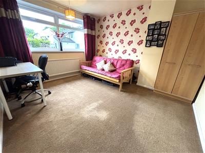 Picture 29